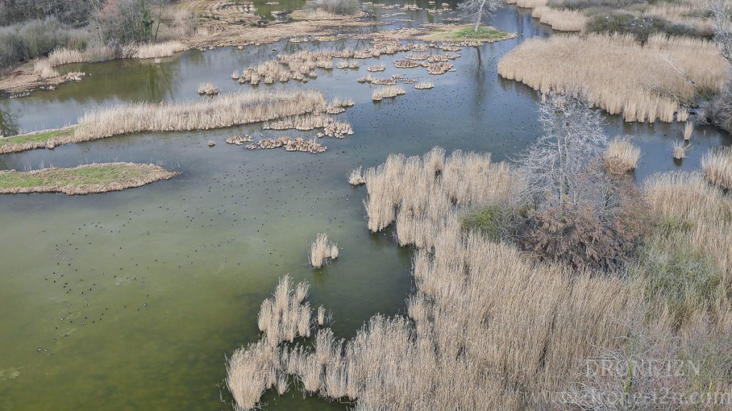 Drone I2N usage photos et vidéos aériennes pour la protection de la nature